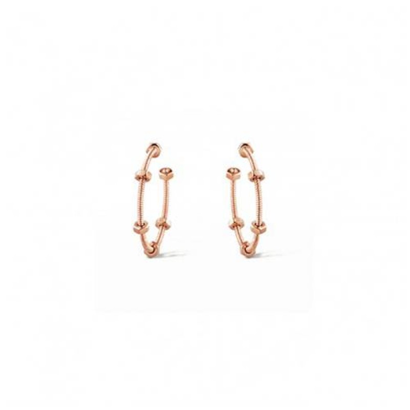 CARTIER ECROU DE CARTIER EARRINGS B8301408