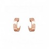 CARTIER  LOVE EARRINGS B8301218