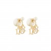 DIOR TRIBALES EARRINGS E1411TRICY_D301