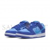 NIKE SB DUNK LOW BLUE RASPBERRY DM0807-400