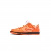 NIKE CONCEPTS X NK SB DUNK LOW FD8776-800