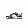 NIKE DUNK LOW RETRO FV8106-181