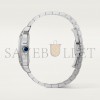 CARTIER SANTOS DE CARTIER WATCH WSSA0071 CARTIER SANTOS DE CARTIER WATCH WSSA0071