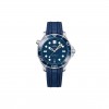 OMEGA SEAMASTER DIVER 300M WATCH 210.32.42.20.03.001