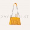 GOYARD ROUETTE STRUCTURÉ MINI BAG ROUETSMINTY08CL08P (20.5*15*6.5cm)