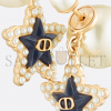 DIOR TRIBALES EARRINGS E3666WOMVE_D92B