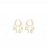 DIOR DIO(R) EVOLUTION EARRINGS E3230WOMCY_D03S