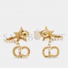 DIOR CLAIR D LUNE EARRINGS E1099CDLRS_D301