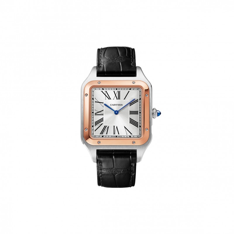 CARTIER SANTOS-DUMONT EXTRA-LARGE 47MM WATCH W2SA0017