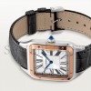 CARTIER SANTOS-DUMONT EXTRA-LARGE 47MM WATCH W2SA0017