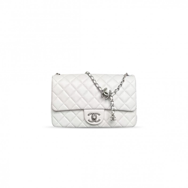 CHANEL CLASSIC FLAP WALLET ON CHAIN WOC AS5756 (23.5*14.5*7cm)