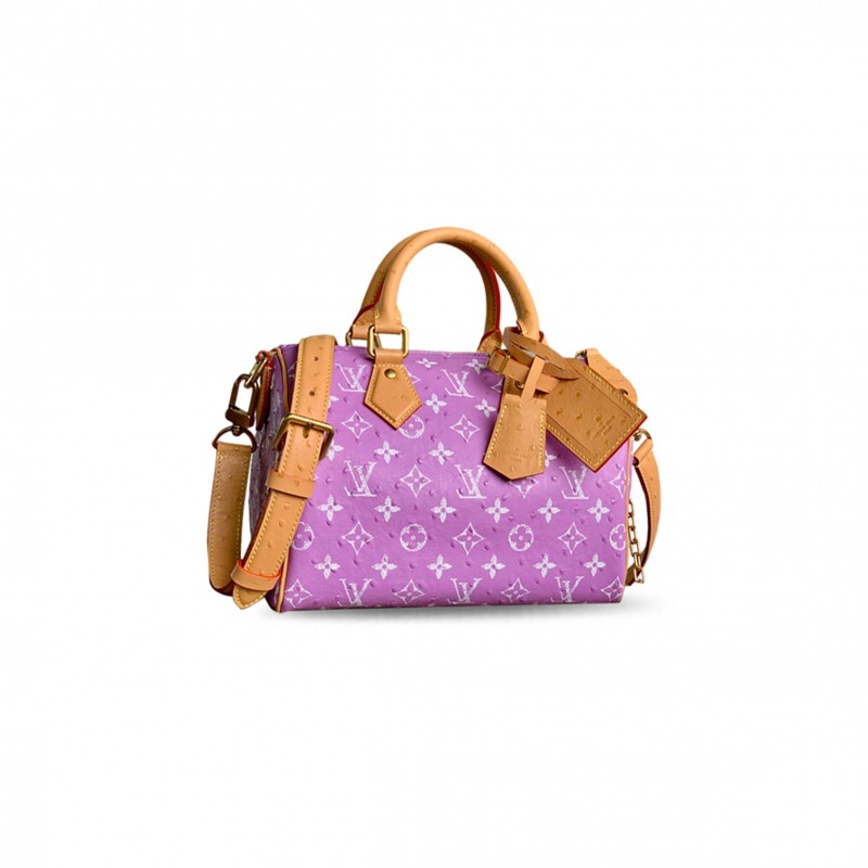LOUIS VUITTON MASTER SPEEDY P9 BANDOULIÈRE 25 M24437 (25*15*15cm)