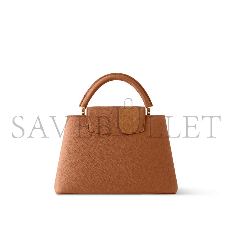 LOUIS VUITTON MASTER CAPUCINES MM M14381 (31.5*20*11cm) 