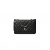 CHANEL CLASSIC WALLET ON CHAIN SILVER HARDWARE AP0250 Y01480 C3906 (19.2*12.3*3.5cm) CHANEL CLASSIC WALLET ON CHAIN SILVER HARDWARE AP0250 Y01480 C3906 (19.2*12.3*3.5cm)