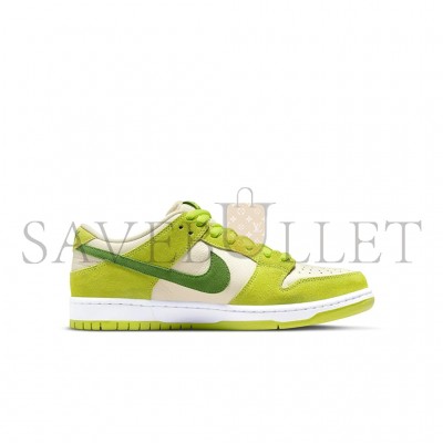 NIKE DUNK SB LOW DM0807-300