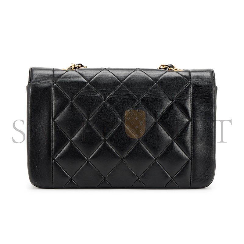 CHANEL SMALL DIANA FLAP A01164 (22*14*7cm)