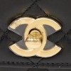 CHANEL MASTER DOUBLE PEARL HANDBAG AP3964 (19*12.5*4cm)