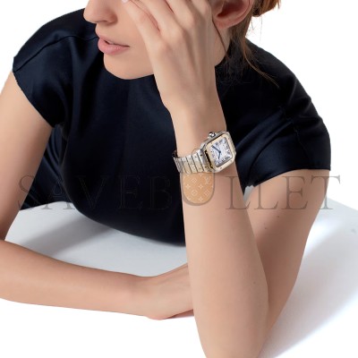 CARTIER SANTOS DE CARTIER WATCH W2SA0016 CARTIER SANTOS DE CARTIER WATCH W2SA0016