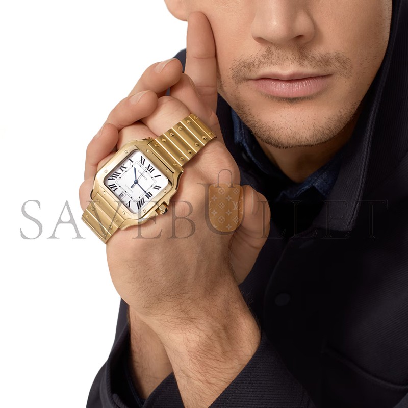 CARTIER SANTOS DE CARTIER WATCH WGSA0029 CARTIER SANTOS DE CARTIER WATCH WGSA0029