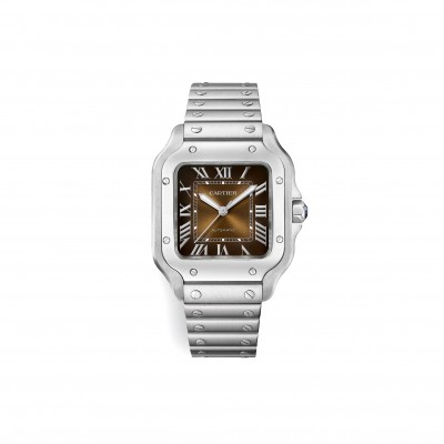 CARTIER SANTOS DE CARTIER WATCH WSSA0065