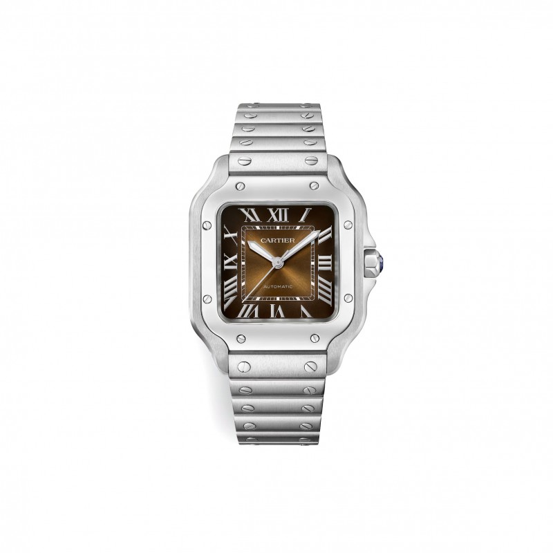 CARTIER SANTOS DE CARTIER WATCH WSSA0065