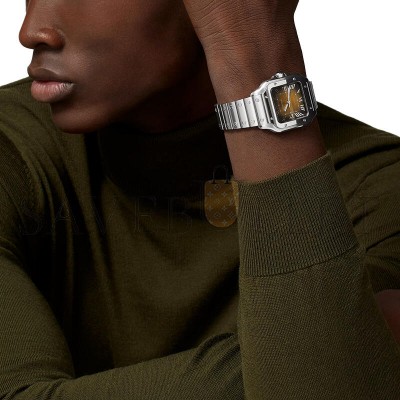 CARTIER SANTOS DE CARTIER WATCH WSSA0065 CARTIER SANTOS DE CARTIER WATCH WSSA0065