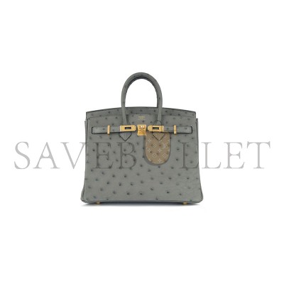 HERMÈS MASTER OSTRICH BIRKIN 25 BIRKIN HANDBAG (25*20*13cm)