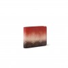 LOUIS VUITTON MASTER MONOGRAM PIGMENT SLENDER WALLET M28006 (11.5*9*1.5cm)