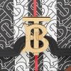 BURBERRY TB CROSSBODY BAG 80317081 (21*16*6cm)