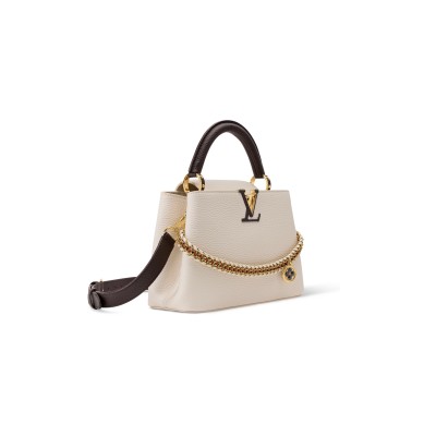LOUIS VUITTON MASTER CAPUCINES MINI (21*14*8cm) LOUIS VUITTON MASTER CAPUCINES MINI (21*14*8cm)