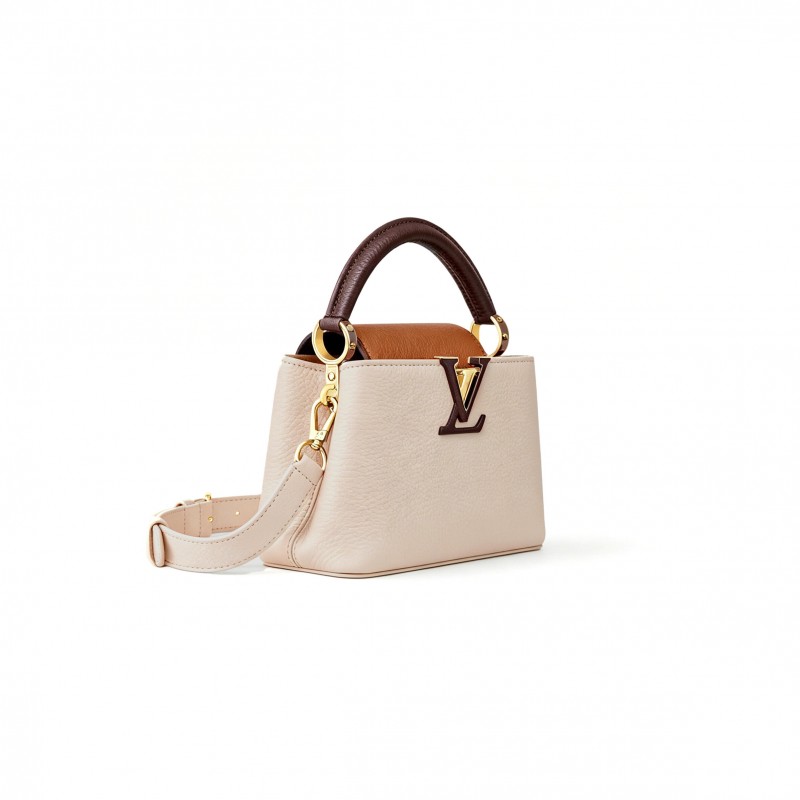LOUIS VUITTON MASTER CAPUCINES MINI M12956 (21*13.6*8cm)
