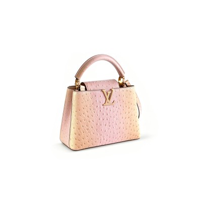 LOUIS VUITTON MASTER CAPUCINES BB N89025 (27*18*9cm) LOUIS VUITTON MASTER CAPUCINES BB N89025 (27*18*9cm)