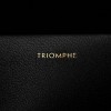 CELINE SHINY CALFSKIN MEDIUM TRIOMPHE BLACK (22*16*8cm)